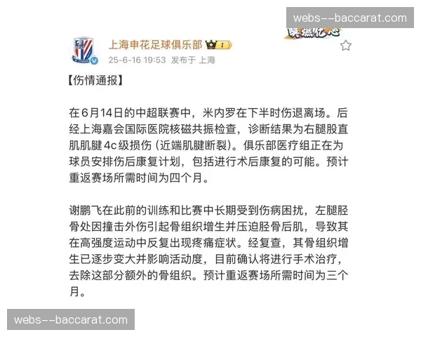 申花伤病报告制度引争议 俱乐部选择不公开具体伤情